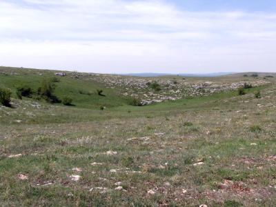 Прикрепленное изображение: DSCF8450.jpg